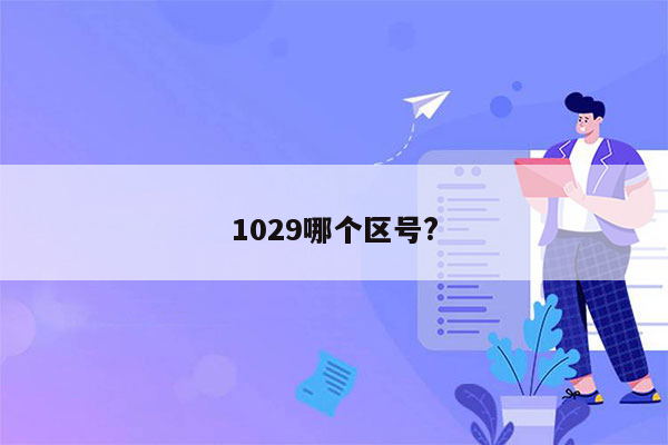 1029哪个区号?