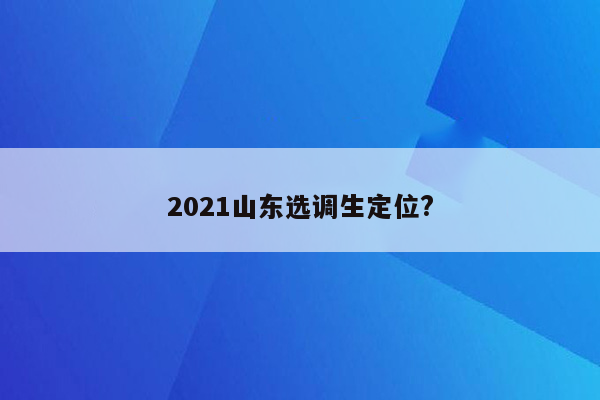 2021山东选调生定位?