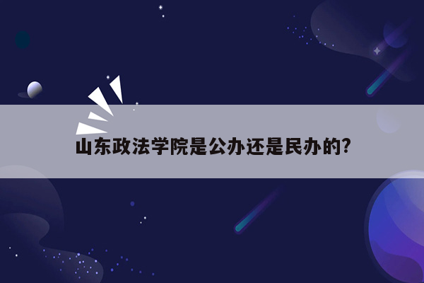 山东政法学院是公办还是民办的?