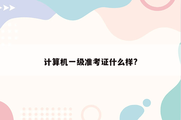 计算机一级准考证什么样?