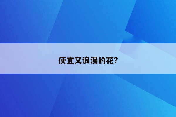 便宜又浪漫的花?