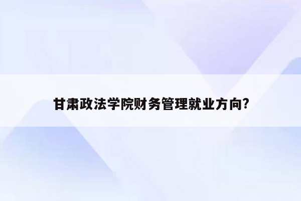 甘肃政法学院财务管理就业方向?