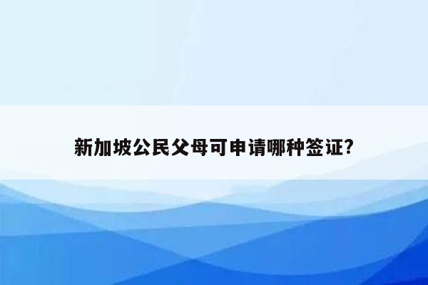 新加坡公民父母可申请哪种签证?