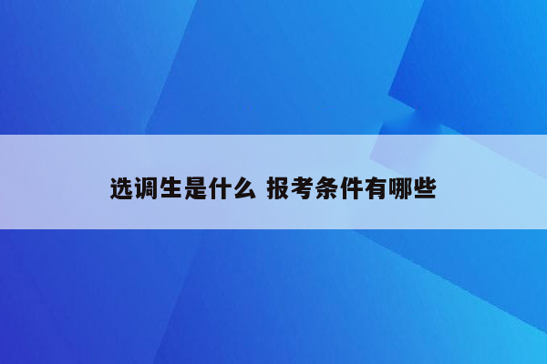 选调生是什么 报考条件有哪些