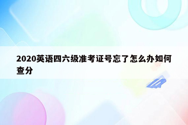 2020英语四六级准考证号忘了怎么办如何查分