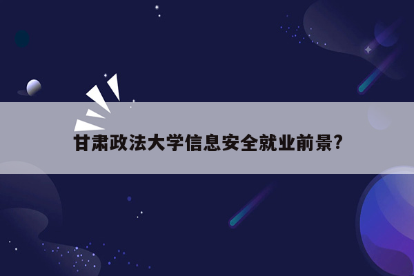 甘肃政法大学信息安全就业前景?