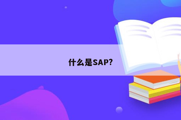 什么是SAP?