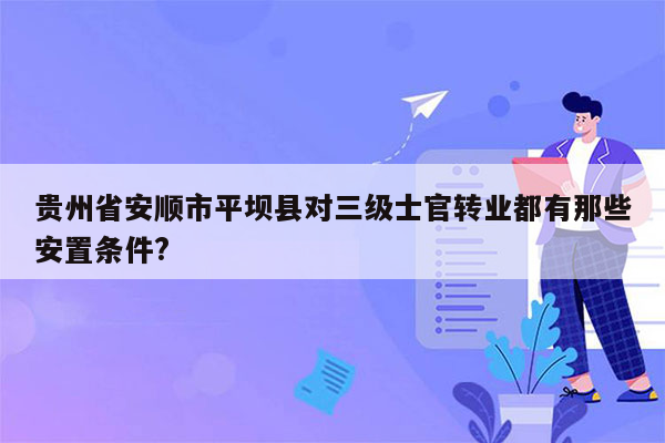 贵州省安顺市平坝县对三级士官转业都有那些安置条件?