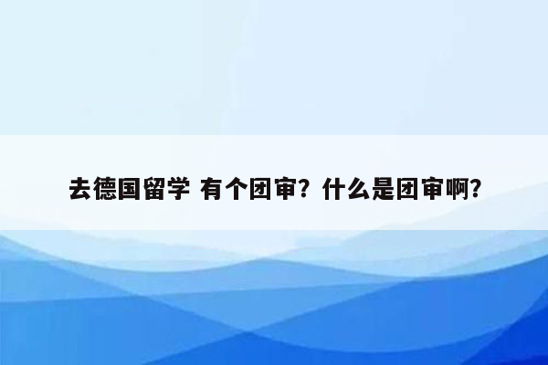 去德国留学 有个团审？什么是团审啊？