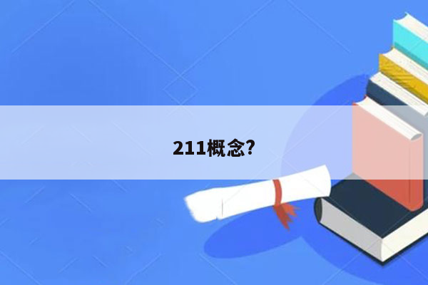 211概念?