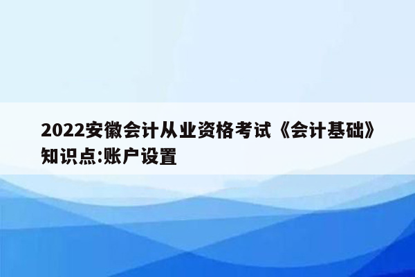 2022安徽会计从业资格考试《会计基础》知识点:账户设置