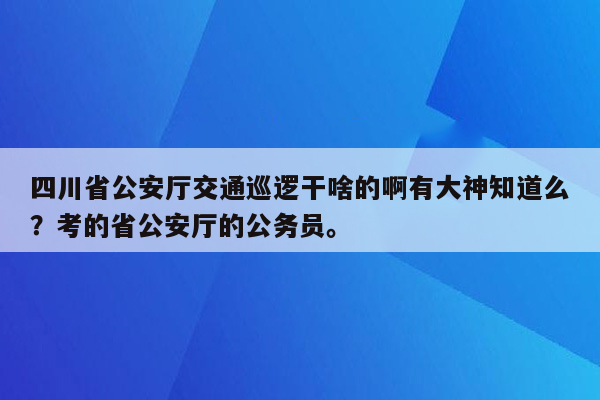 四川省公安厅交通巡逻干啥的啊有大神知道么？考的省公安厅的公务员。