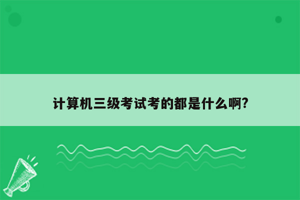 计算机三级考试考的都是什么啊?