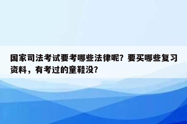 国家司法考试要考哪些法律呢？要买哪些复习资料，有考过的童鞋没？