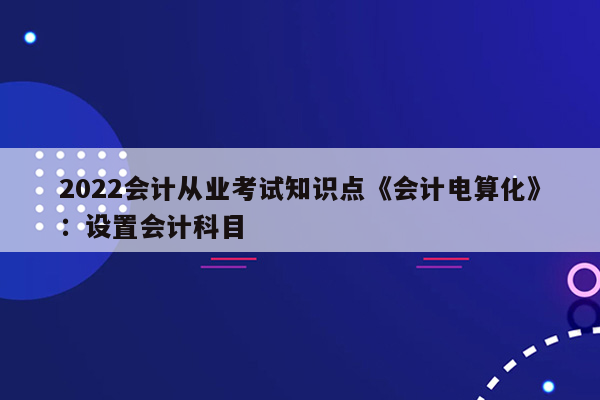 2022会计从业考试知识点《会计电算化》：设置会计科目