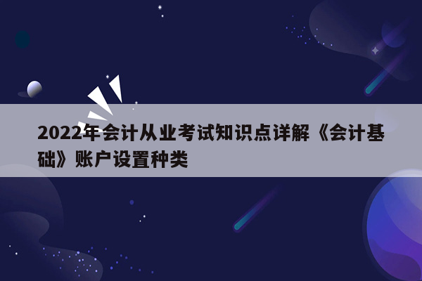 2022年会计从业考试知识点详解《会计基础》账户设置种类