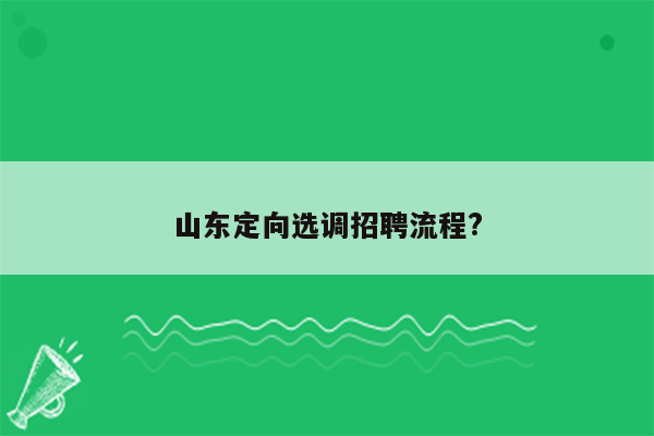 山东定向选调招聘流程?