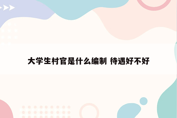 大学生村官是什么编制 待遇好不好