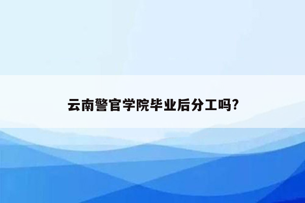 云南警官学院毕业后分工吗?