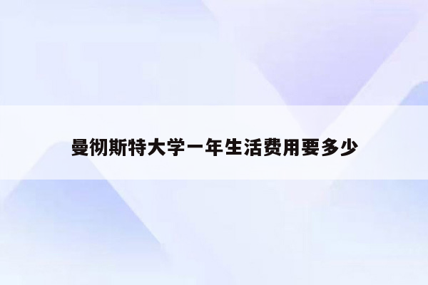 曼彻斯特大学一年生活费用要多少