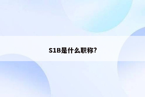 S1B是什么职称?