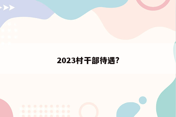 2023村干部待遇?