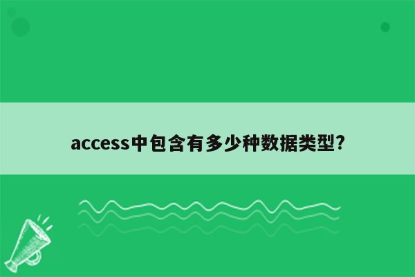 access中包含有多少种数据类型?