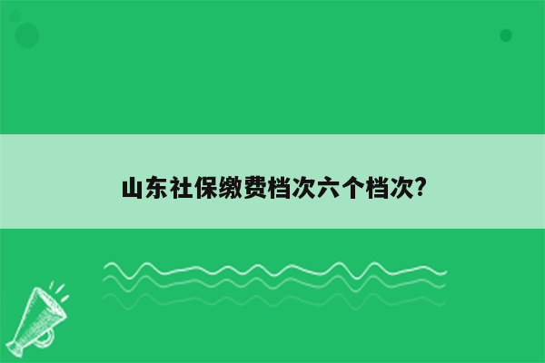 山东社保缴费档次六个档次?