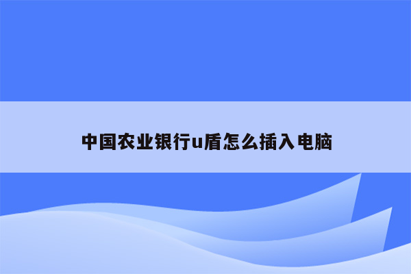 中国农业银行u盾怎么插入电脑