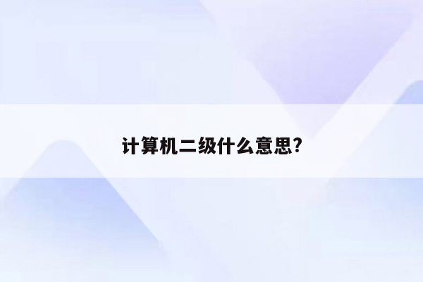 计算机二级什么意思?