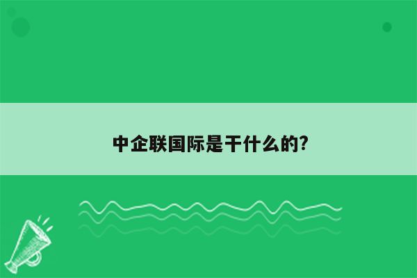 中企联国际是干什么的?