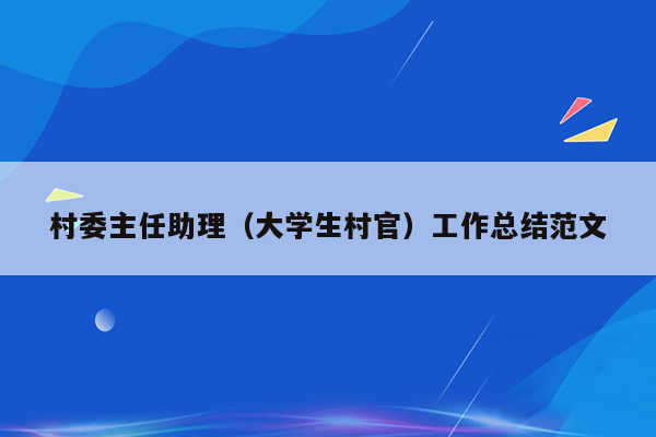 村委主任助理（大学生村官）工作总结范文