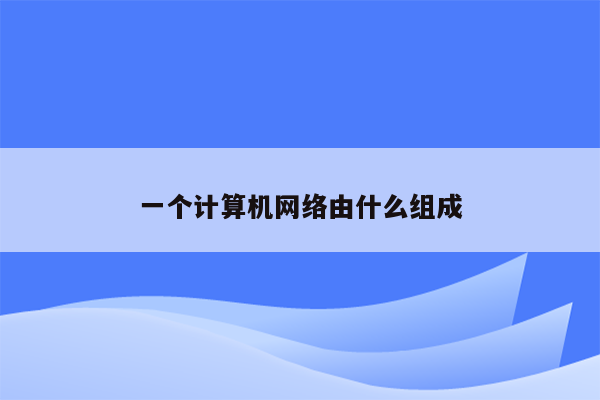 一个计算机网络由什么组成