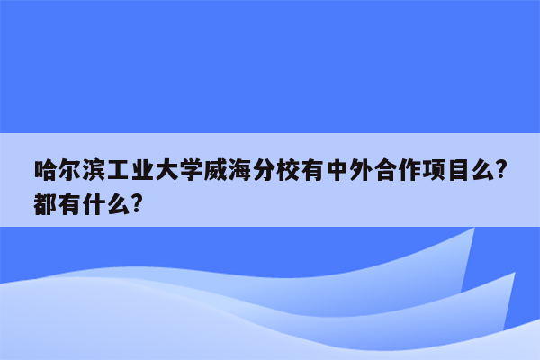 哈尔滨工业大学威海分校有中外合作项目么?都有什么?