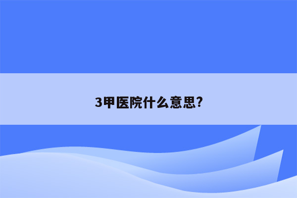 3甲医院什么意思?