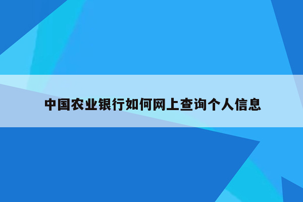 中国农业银行如何网上查询个人信息