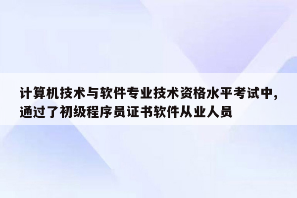 计算机技术与软件专业技术资格水平考试中,通过了初级程序员证书软件从业人员