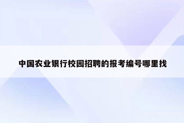 中国农业银行校园招聘的报考编号哪里找