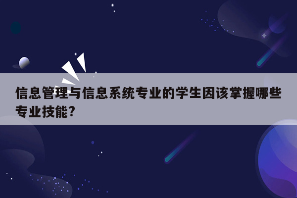 信息管理与信息系统专业的学生因该掌握哪些专业技能?