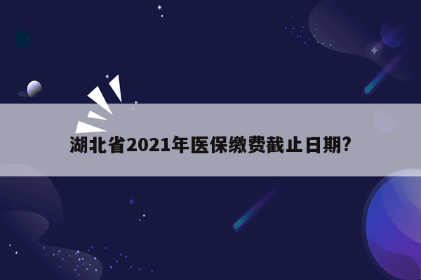 湖北省2021年医保缴费截止日期?