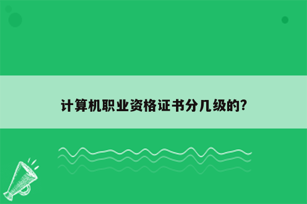 计算机职业资格证书分几级的?