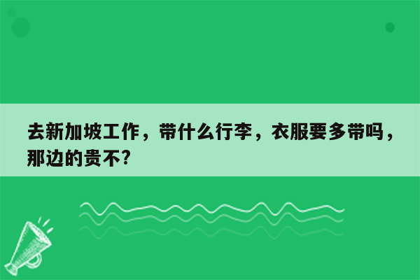 去新加坡工作，带什么行李，衣服要多带吗，那边的贵不?