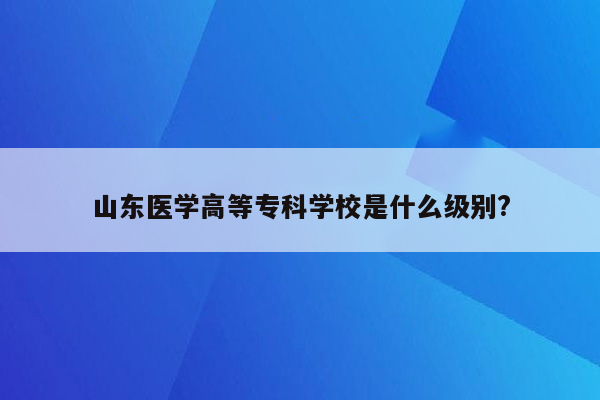 山东医学高等专科学校是什么级别?