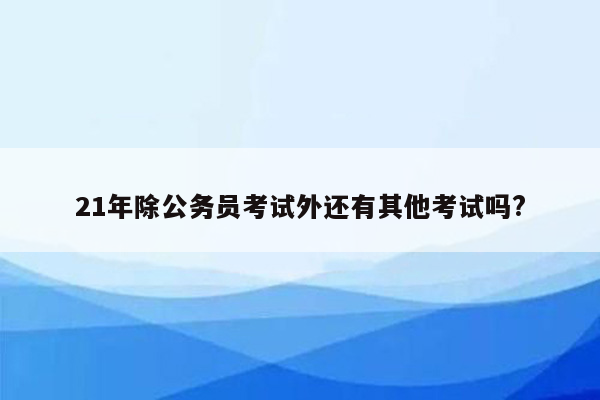 21年除公务员考试外还有其他考试吗?