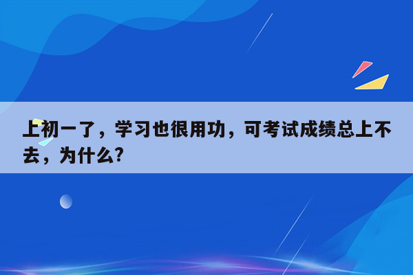 上初一了，学习也很用功，可考试成绩总上不去，为什么?