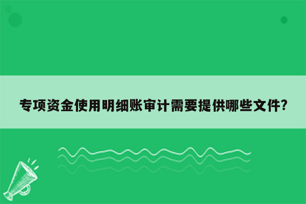 专项资金使用明细账审计需要提供哪些文件?