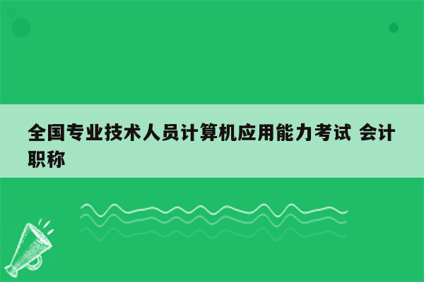 全国专业技术人员计算机应用能力考试 会计职称