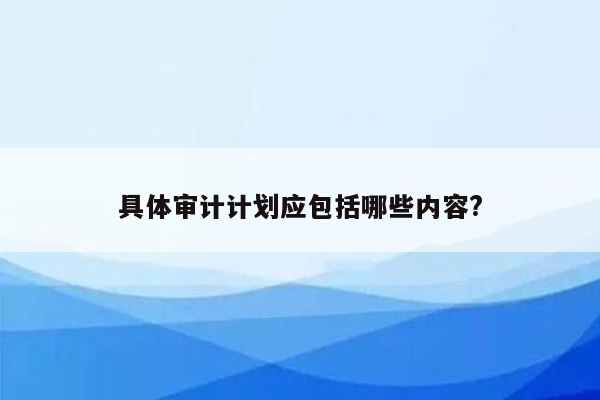 具体审计计划应包括哪些内容?