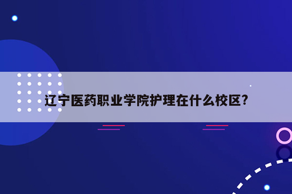 辽宁医药职业学院护理在什么校区?