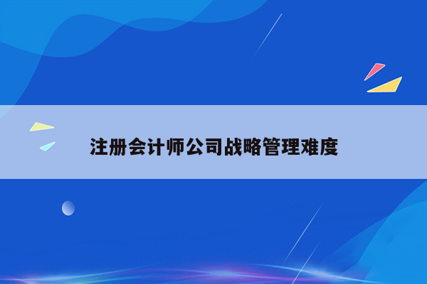 注册会计师公司战略管理难度